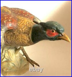 Rare Vintage Ring Necked Pheasant Figurine Sculpture CV 98 Large 18.5