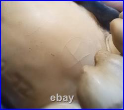 Vtg Goebel Hummel LG KNEELING STANDING LAYING NATIVITY CAMEL W Germany VIBRANT